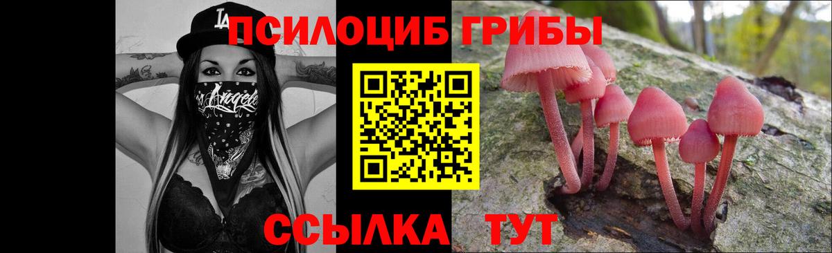 Галлюциногенные грибы ЛСД  Вход с VPN  цена   Курчалой  Псилоцибиновые грибы MAGIC MUSHROOMS 