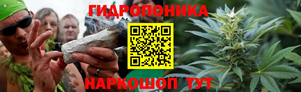 Шишки марихуана гибрид  Вход с VPN  МАРИХУАНА Ganja  Курчалой  Бошки марихуана Bruce Banner 
